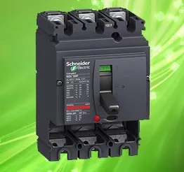 کلید اتوماتیک ۱۰۰ آمپر اشنایدر الکتریک (Schneider Electric)